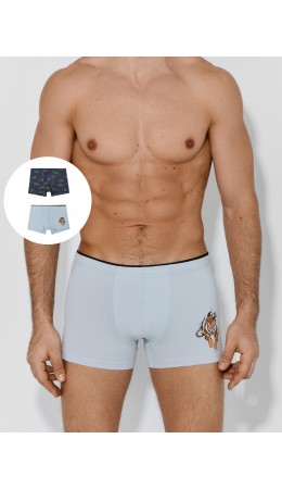 Трусы лунный луч +тигры на графите