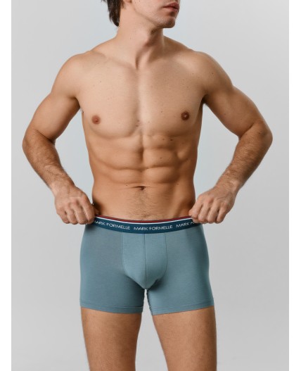 Трусы полынь