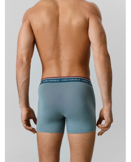 Трусы полынь