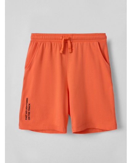 Шорты я.коралл +печать