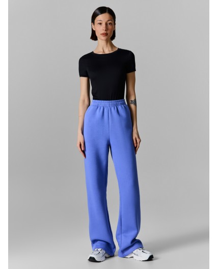 Брюки лаванда