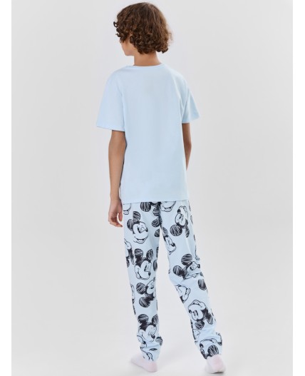 Комплект голубое небо +мышата на голубом небе