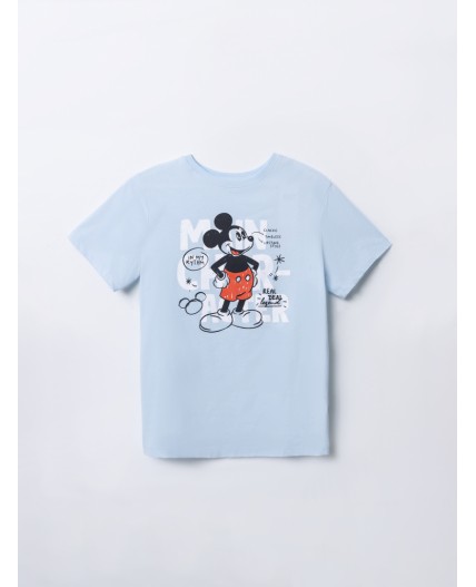 Комплект голубое небо +мышата на голубом небе