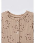 Комплект зайки на бежевом +бежевый