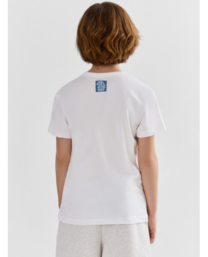 Шорты серый меланж 4306-А +печать