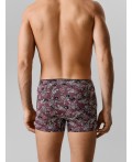 Трусы японский паттерн на бордовом