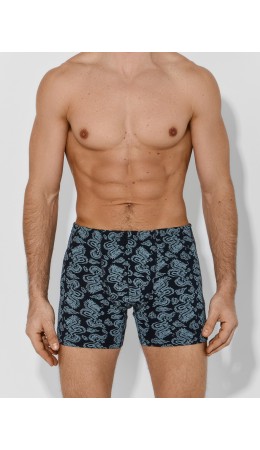 Трусы драконы на чёрном 1