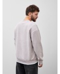 Свитшот мужской с начесом и надписью Prairie calls  Цвет: ACID WASH серый +печать