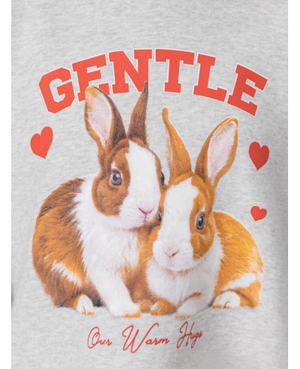 Худи для девочек серое с принтом и надписью gentle Цвет: серый меланж 4306-А +печать1