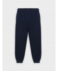 ДЖОГГЕРЫ МУЖСКИЕ Цвет: неви