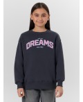 Джемпер для девочек серый с надписью Make your dreams... Цвет: графит +печать1