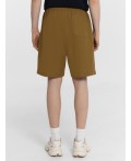 Шорты мужские зеленые льняные Цвет: пихта