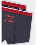 Трусы боксеры мужские с новогодним принтом в наборе, 2 шт Цвет: т.серый +бутерброды с икрой на черном