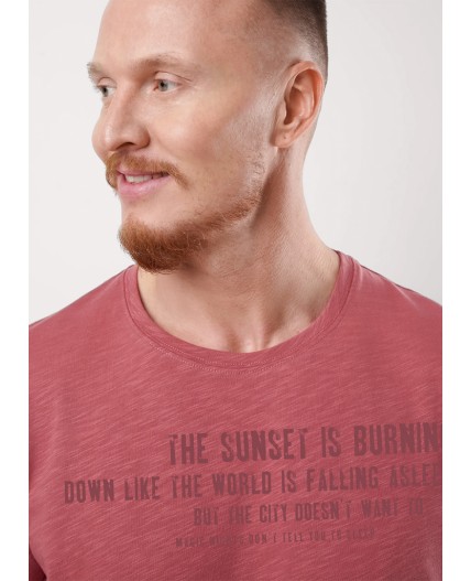 CLE Футболка муж. 552520/22о maxi_п, терракотовый