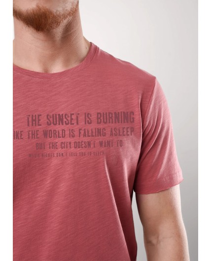 CLE Футболка муж. 552520/22о maxi_п, терракотовый