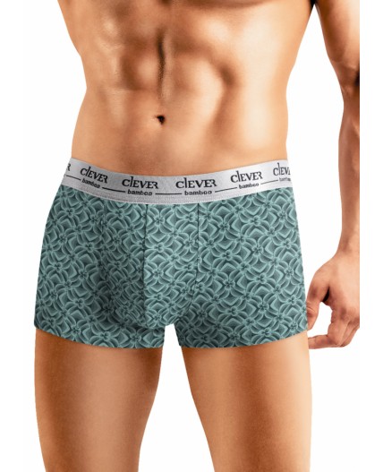 CLE MH551513 Трусы муж., т.зелёный/св.зелёный
