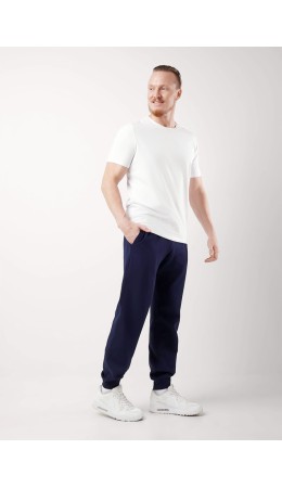 ЭЙС брюки муж 600945ф, т.синий