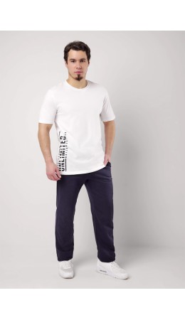 ЭЙС брюки муж600946а, т.синий