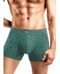 CLE MSH551643 Трусы муж., зелёный/т.синий