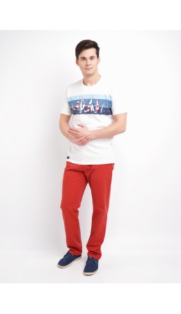 CLE брюки муж. 503482py, коричневый