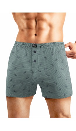 CLE MBX552011 Трусы муж., зелёный/т.синий