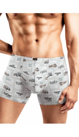 CLE MSH551431 Трусы муж., св.серый/св.зелёный