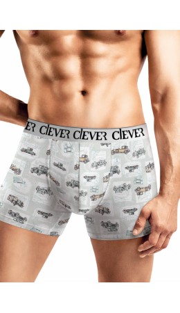 CLE MSH551433 Трусы муж., св.серый/св.зелёный