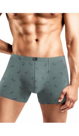 CLE MSH552011 Трусы муж., зелёный/т.синий