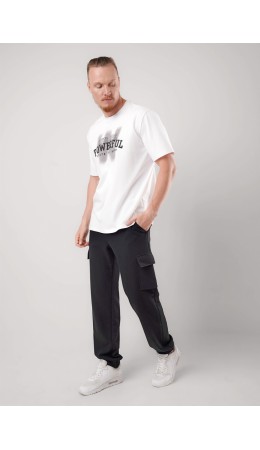 CLE Брюки муж. 452612/09т, чёрный