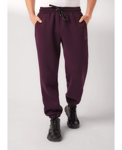 CLE Брюки муж. 452446/14фф_п, т.бордовый