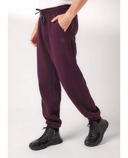 CLE Брюки муж. 452446/14фф_п, т.бордовый