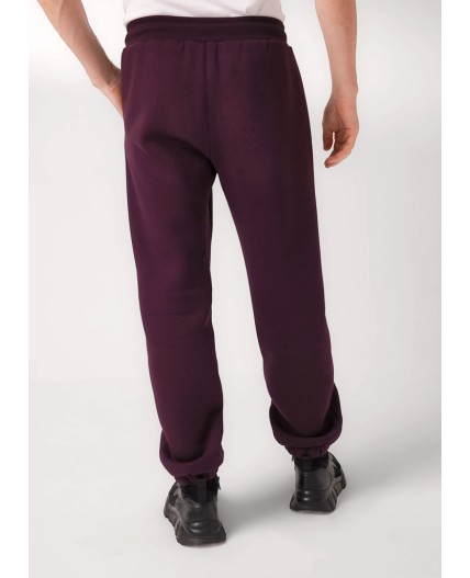 CLE Брюки муж. 452446/14фф_п, т.бордовый
