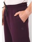 CLE Брюки муж. 452446/14фф_п, т.бордовый