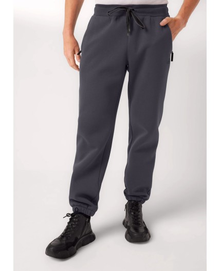 CLE Брюки муж. 452446/14фф_п, т.серый