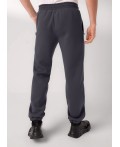CLE Брюки муж. 452446/14фф_п, т.серый