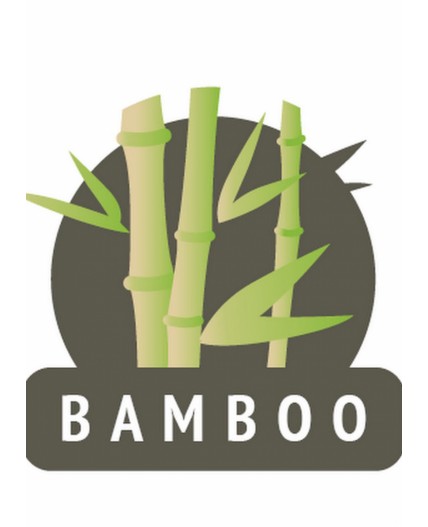 CLE Носки муж.Б101Л, св.серый