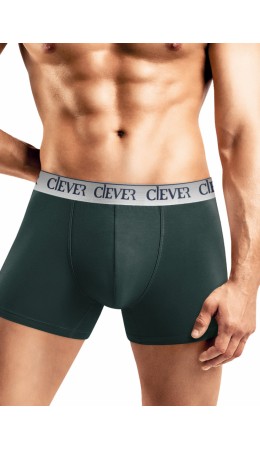 CLE MSH442110 Трусы муж., т.зелёный
