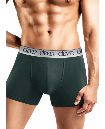 CLE MSH442110 Трусы муж., т.зелёный