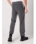 CLE Брюки муж. 452593/01л maxi, серый