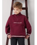 CLE Джемпер мал. 757195/24ф_п, т.бордовый