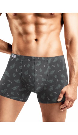 CLE MSH450211 трусы муж. спорт, св.зелёный/св.серый