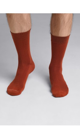 CLE Носки муж.К009Л fashion база хл+эл, коричневый