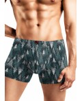 CLE MSH451241 Трусы муж., т.бирюзовый/белый