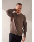 CLE Джемпер муж. 454407хпэ maxi, мулине коричневый