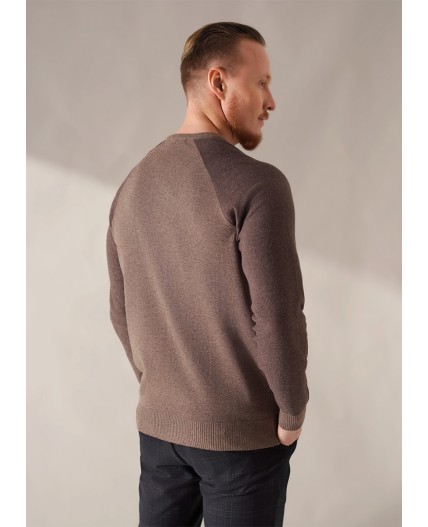 CLE Джемпер муж. 454407хпэ maxi, мулине коричневый