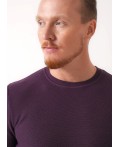 CLE Джемпер муж. 454566/11ха, т.фиолетовый