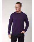 CLE Джемпер муж. 654350ха, т.фиолетовый