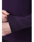 CLE Джемпер муж. 654350ха, т.фиолетовый