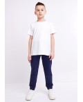 CLE Брюки мал. 903345-01а, т.синий