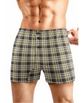 CLE MBX450411 Трусы муж., зелёный/коричневый